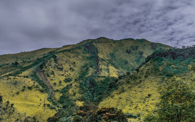 Gunung Merbabu Via Selo