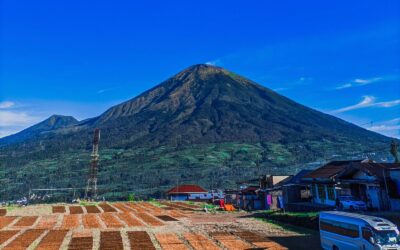 Gunung Sindoro Via Kledung